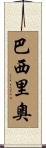 Bacilio Scroll