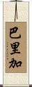 Barriga Scroll