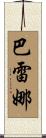 Barena Scroll