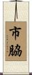 市脇 Scroll