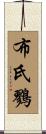 布氏鷚 Scroll