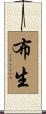 布生 Scroll