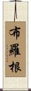 Brogan Scroll