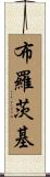 Brodsky Scroll