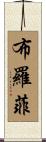 Brophy Scroll