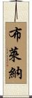Bryna Scroll