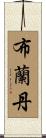 Brandan Scroll