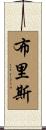 Brice Scroll