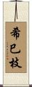 希巳枝 Scroll