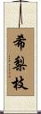 希梨枝 Scroll