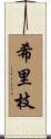 希里枝 Scroll