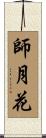 師月花 Scroll