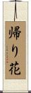 帰り花 Scroll