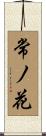 常ノ花 Scroll