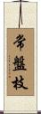 常盤枝 Scroll