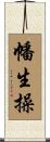 幡生操 Scroll