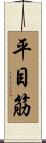 平目筋 Scroll
