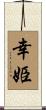 幸姫 Scroll
