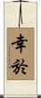 幸於 Scroll
