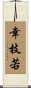 幸枝若 Scroll