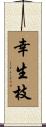 幸生枝 Scroll