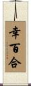 幸百合 Scroll