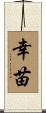 幸苗 Scroll