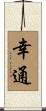幸通 Scroll