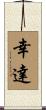 幸達 Scroll