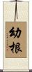 幼根 Scroll
