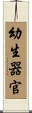 幼生器官 Scroll