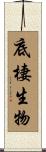 底棲生物 Scroll