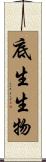 底生生物 Scroll