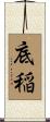 底稲 Scroll