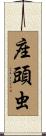 座頭虫 Scroll