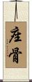 座骨 Scroll