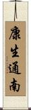 康生通南 Scroll