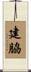 建脇 Scroll