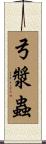弓漿蟲 Scroll