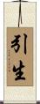 引生 Scroll