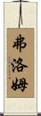 弗洛姆 Scroll