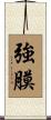 強膜 Scroll
