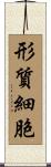 形質細胞 Scroll