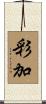 彩加 Scroll