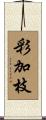 彩加枝 Scroll