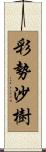 彩勢沙樹 Scroll