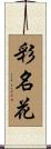 彩名花 Scroll