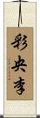 彩央李 Scroll
