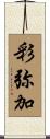 彩弥加 Scroll