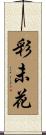 彩未花 Scroll